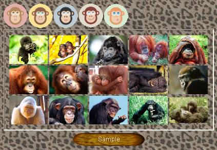 Preview half size for Primates game addon